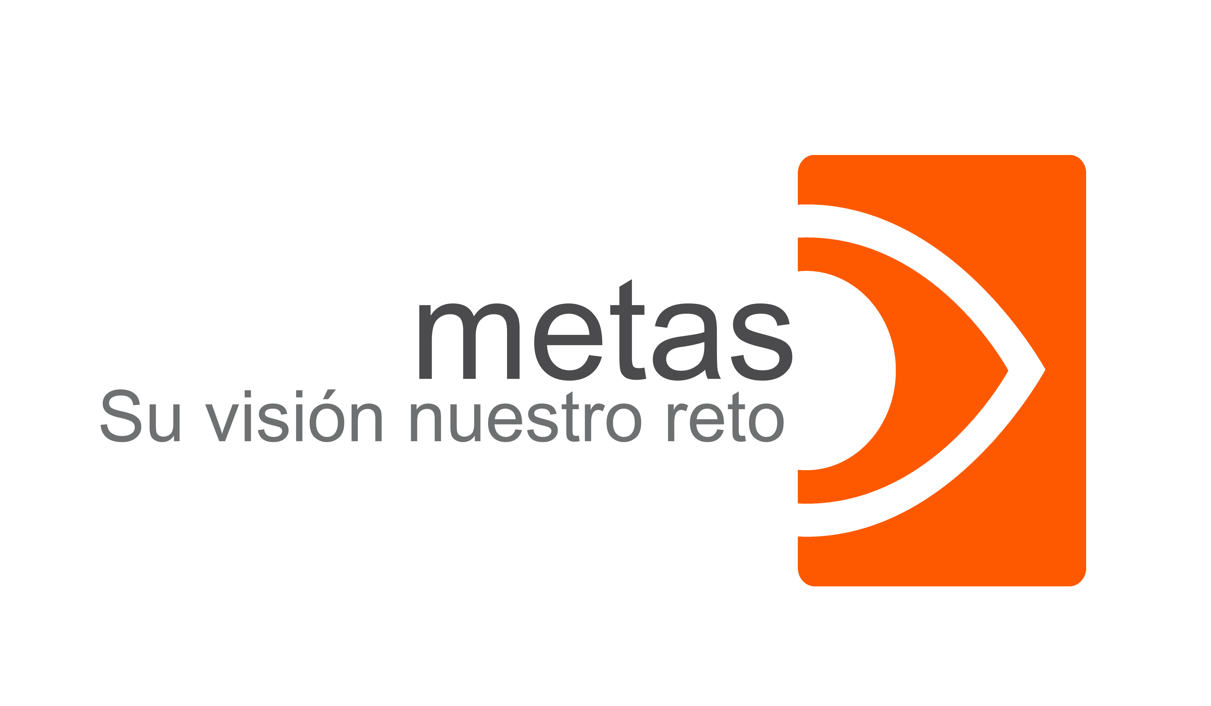 metas - Su visión nuestro reto
